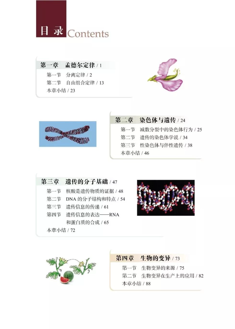 浙科版高中生物必修2《遗传与进化》电子课本.pdf_第2页