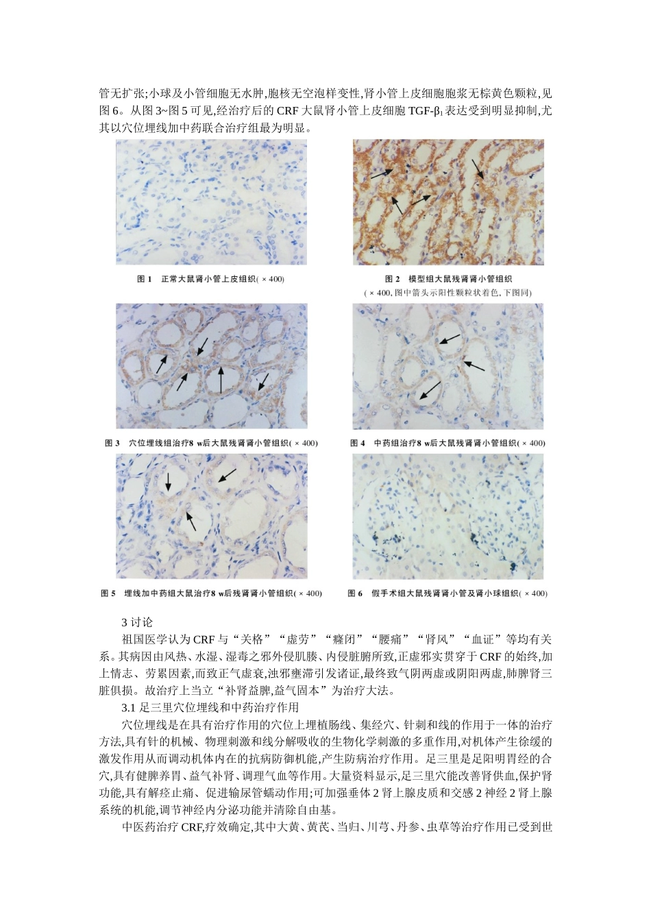 穴位埋线文档 (64).doc_第3页