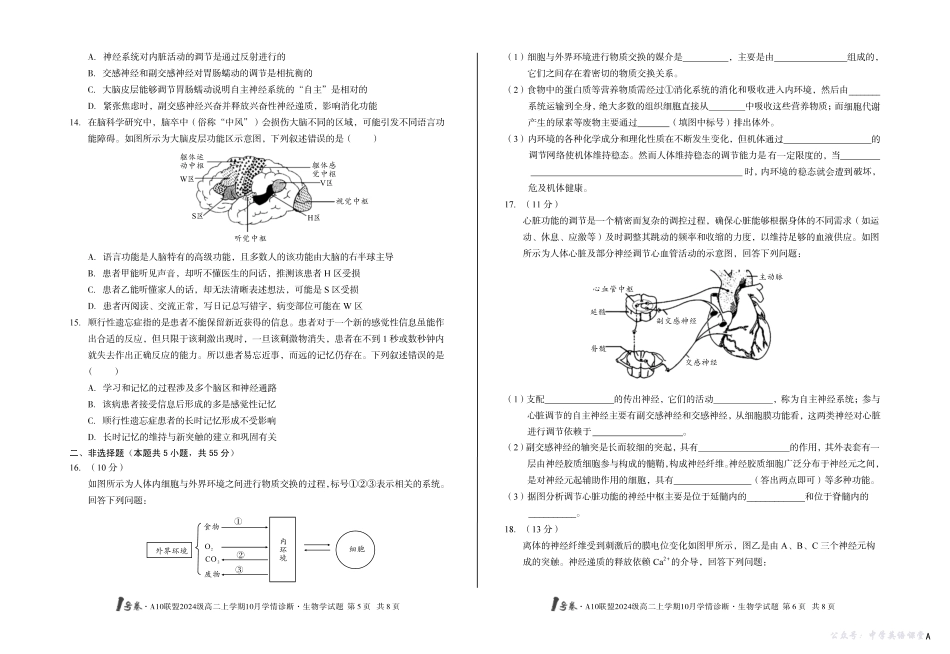 （A卷）1号卷A10联盟2024级高二上学期10月学情诊断生物学A.pdf_第3页