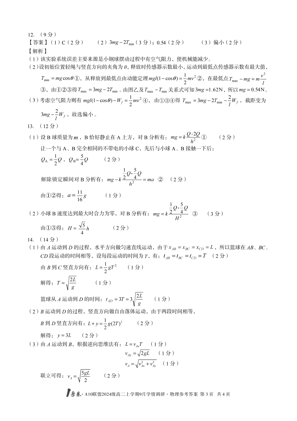 （物理）1号卷A10联盟2024级高二上学期9月学情调研物理答案.pdf_第3页