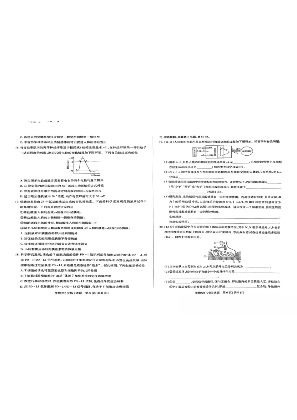 【高二】天一大联考2024年高二一联阶段性测试一生物试题及答案汇总.pdf_第3页
