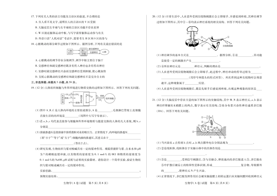 【高二】天一大联考2024年高二一联阶段性测试一生物学A高二一联试卷.pdf_第3页