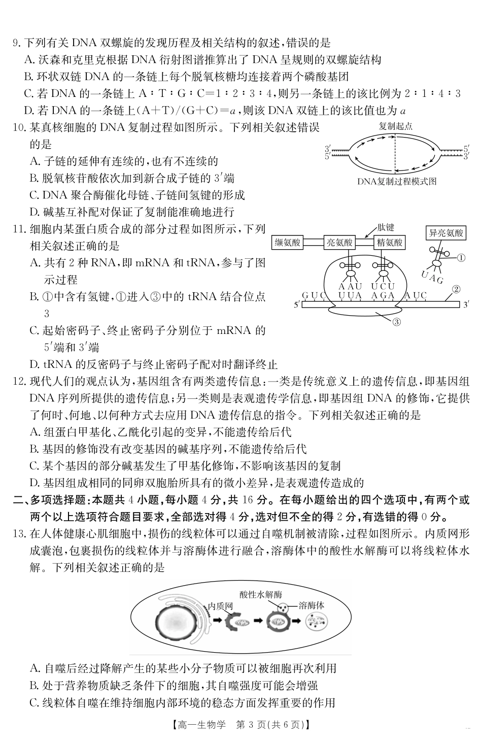【金太阳25-562A】江西省2024-2025学年高一下学期6月联考生物学.pdf_第3页