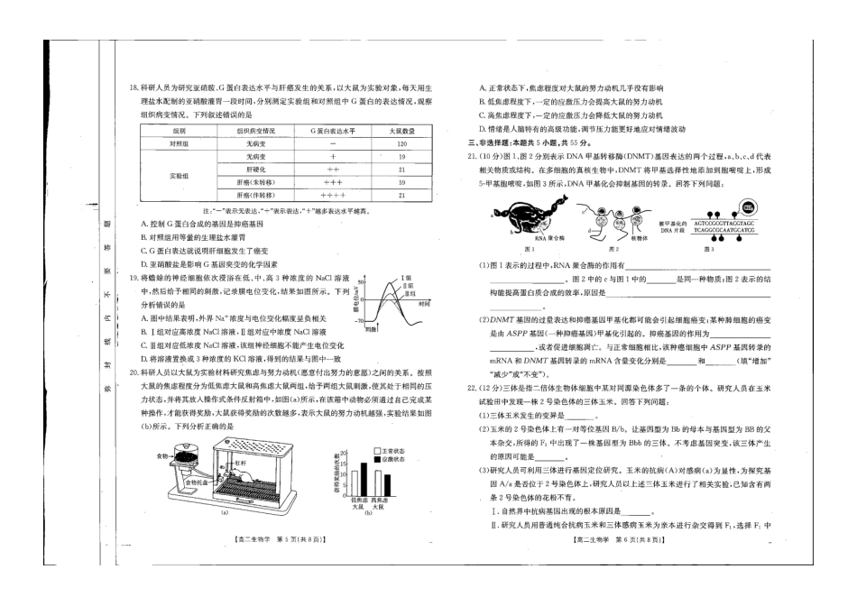 【辽宁卷】辽宁金太阳高二10月联考生物试题.pdf_第3页