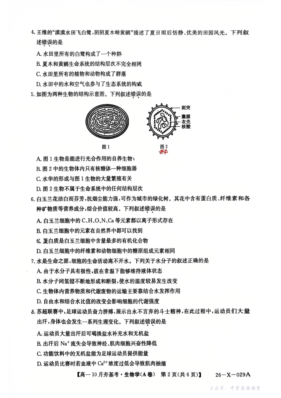 【生物】2025-2026学年高一10月夯基考.pdf_第2页