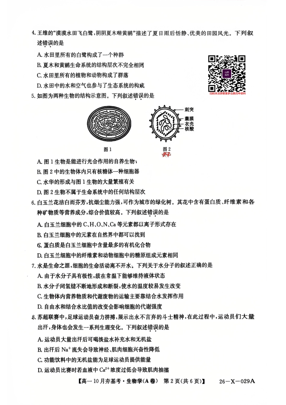 【生物试卷】【高一】山西三晋卓越联盟2025-2026学年高一10月夯基考(26-X-029A)(10.16-10.17).pdf_第2页