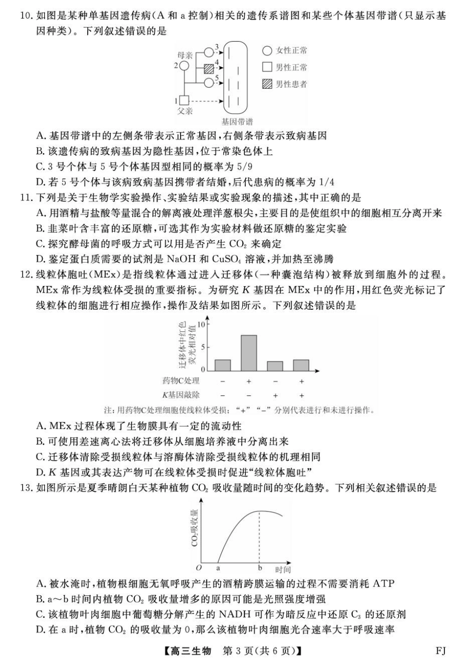 【生物试卷+答案】福建省金科大联考百校2025-2026学年2026届高三上学期10月联合测评(10.15-10.16).pdf_第3页