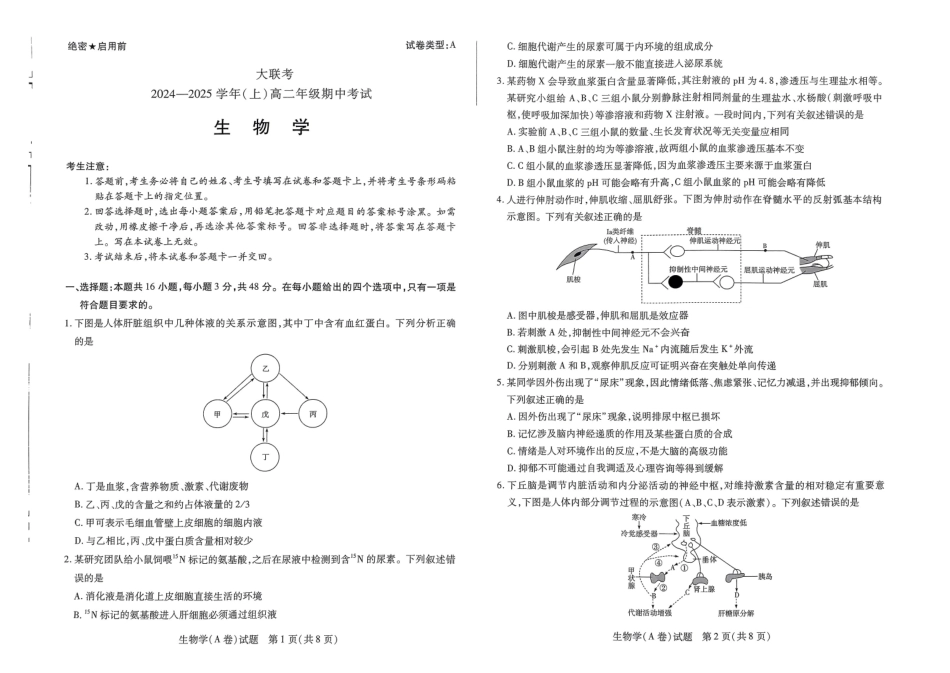 【天一大联考】河南省2024-2025学年高二上学期11月期中生物试题.pdf_第1页