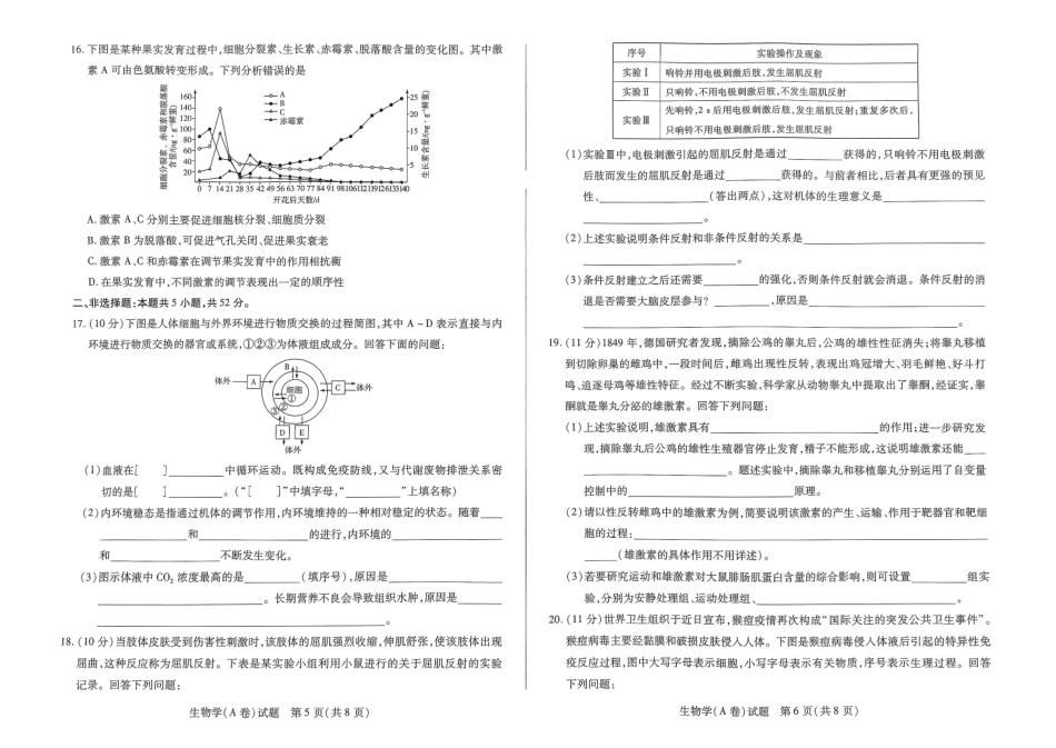 【天一大联考】河南省2024-2025学年高二上学期11月期中生物试题.pdf_第3页