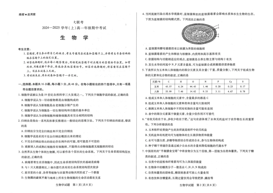 【天一大联考】河南省天一大联考2024—2025学年(上)高一年级期中考试生物试题.pdf_第1页