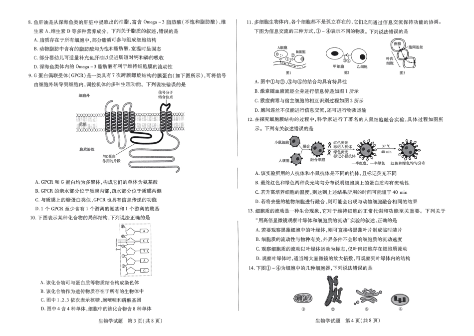 【天一大联考】河南省天一大联考2024—2025学年(上)高一年级期中考试生物试题.pdf_第2页