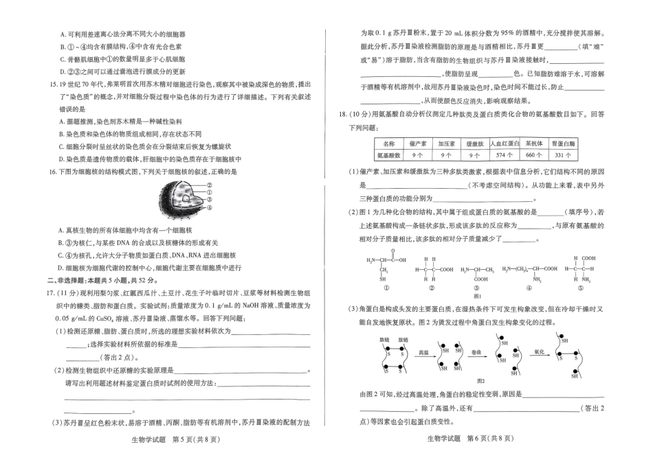 【天一大联考】河南省天一大联考2024—2025学年(上)高一年级期中考试生物试题.pdf_第3页