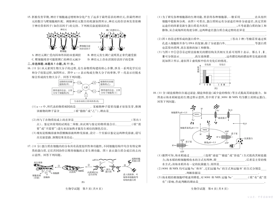 6生物学安徽高三十月调研考试.pdf_第3页
