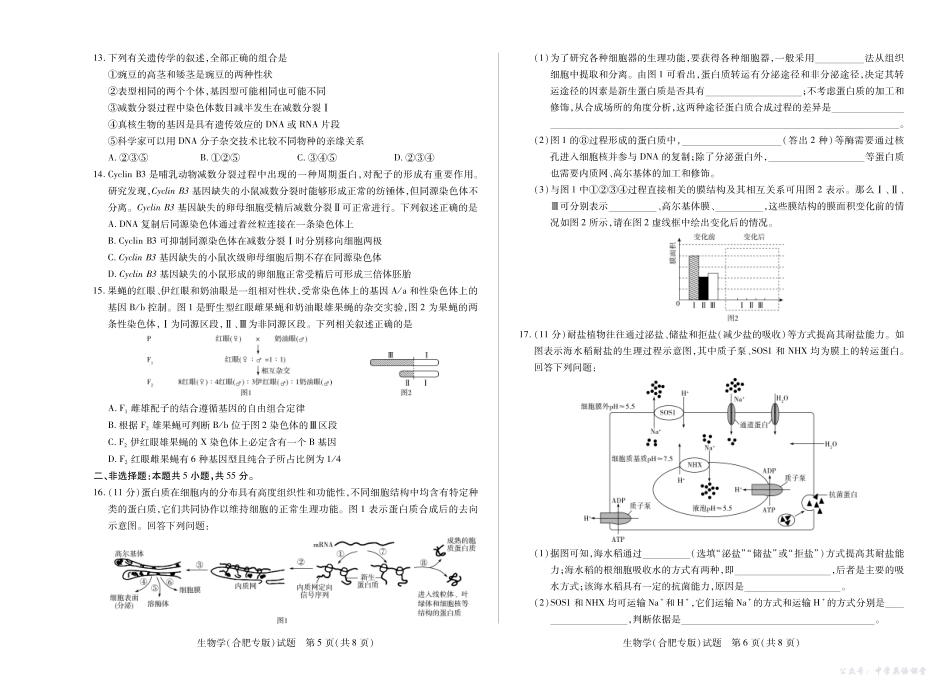6生物学专版安徽高三十月调研考试.pdf_第3页
