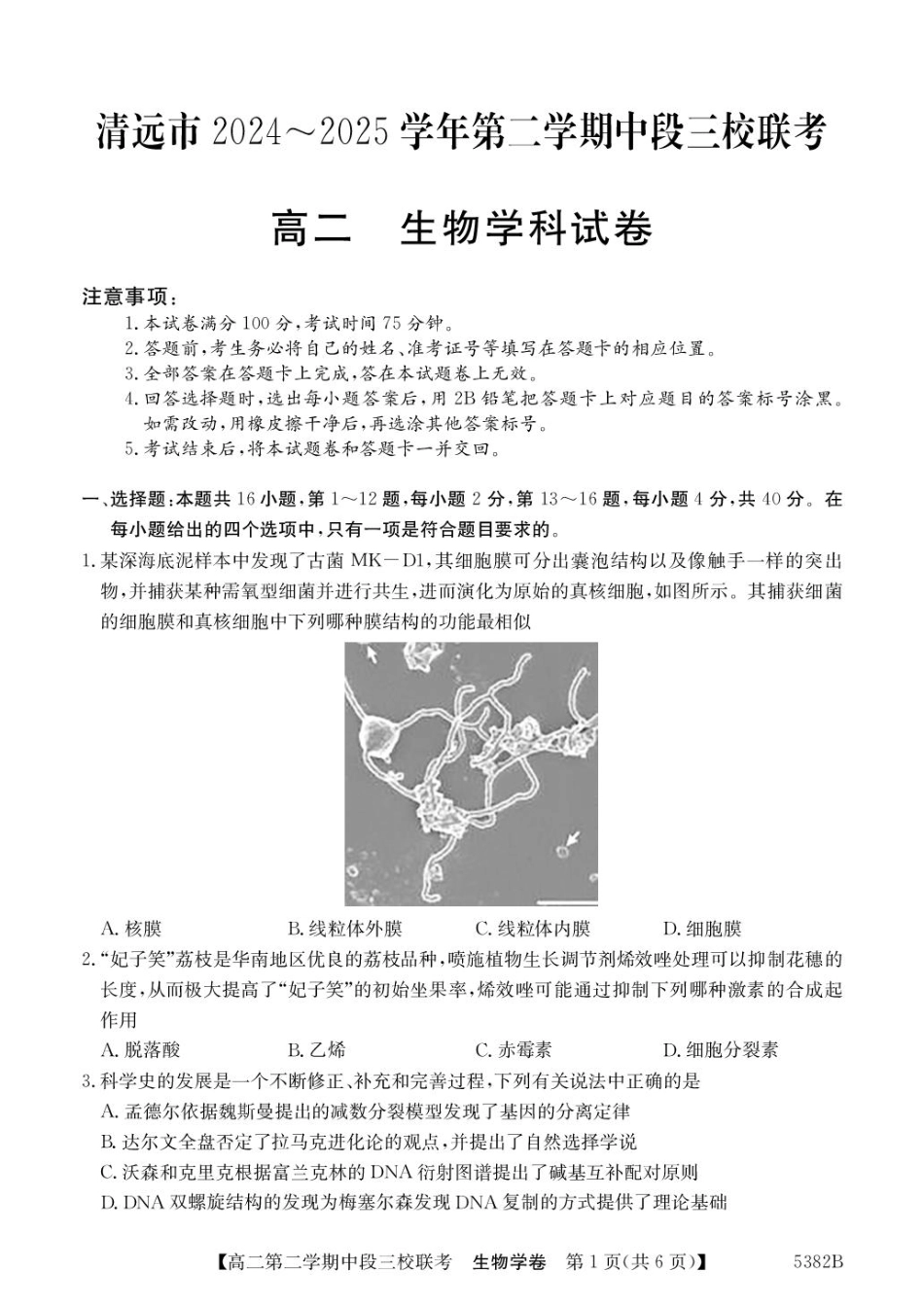 25-5339B2024-2025学年高二下学期期中联考试题生物含解析.pdf_第1页