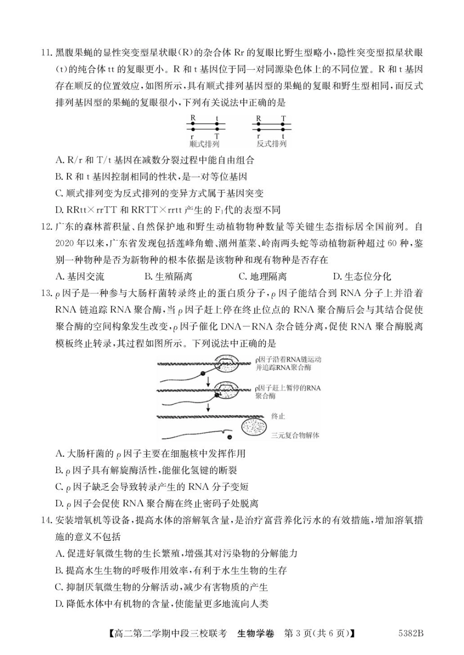 25-5339B2024-2025学年高二下学期期中联考试题生物含解析.pdf_第3页