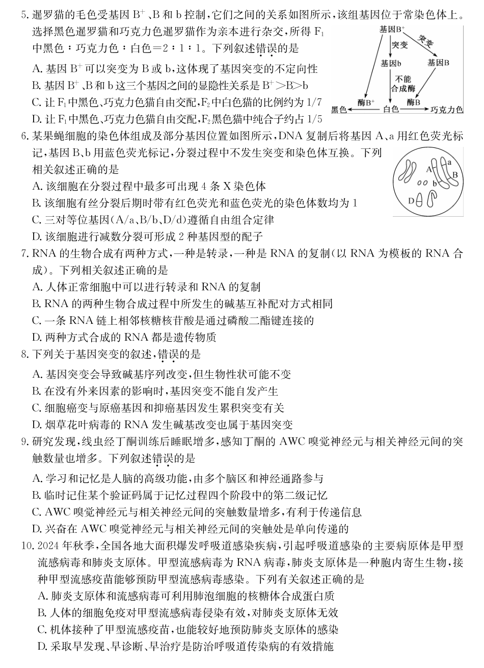 25-L-510C三晋卓越联盟2025届高三上学期期末质量检测卷（1.14-1.16）生物试卷.pdf_第2页
