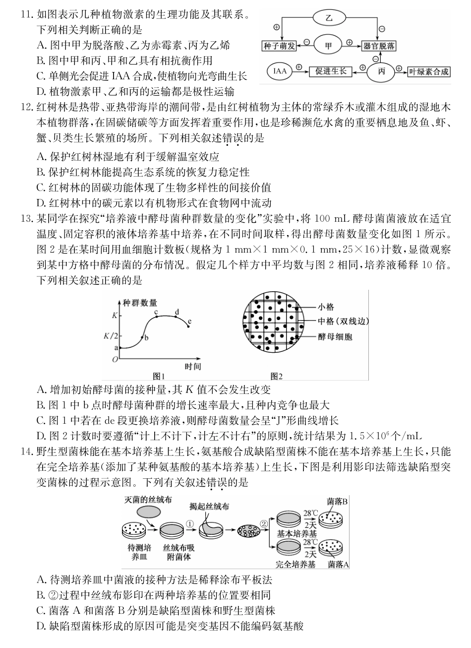 25-L-510C三晋卓越联盟2025届高三上学期期末质量检测卷（1.14-1.16）生物试卷.pdf_第3页