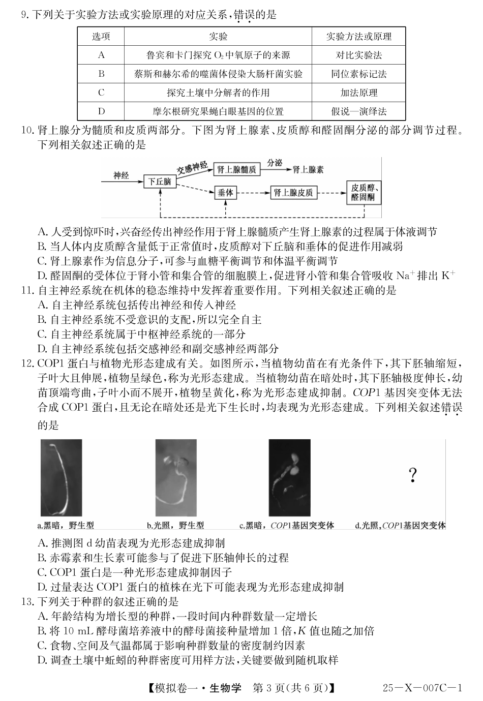 25-X-007C-12025届高三模拟卷一（2.9-2.10）生物试卷.pdf_第3页