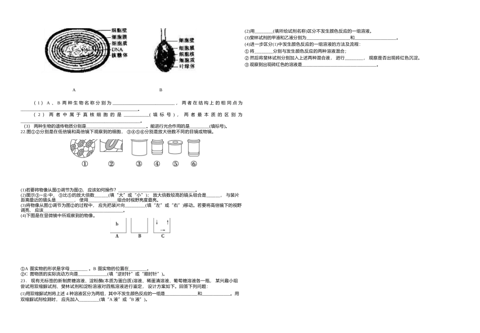 25级10月月考生物改.docx_第3页