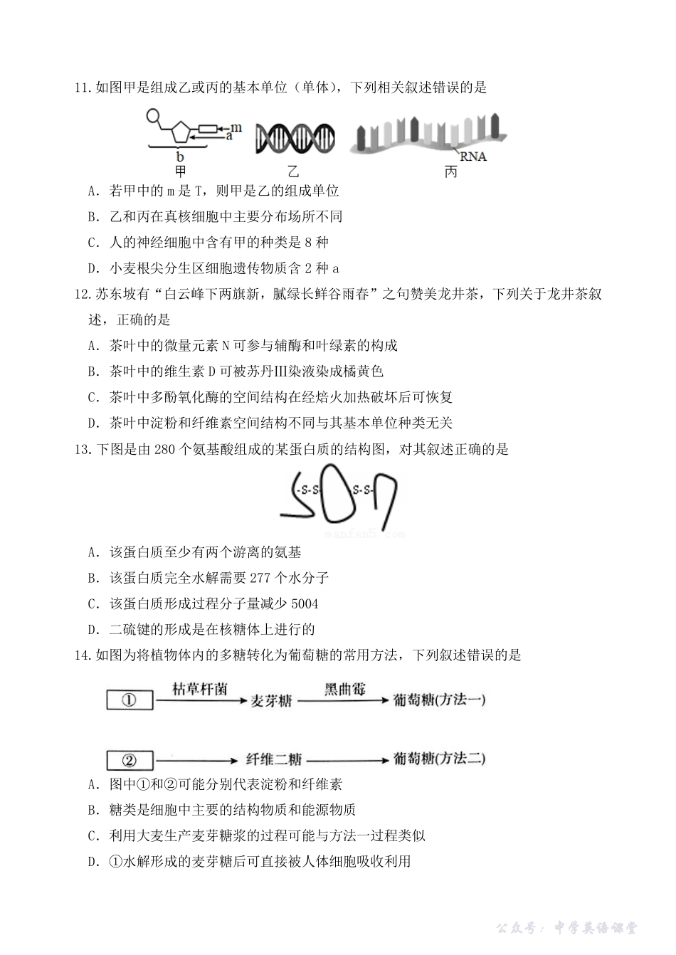 2025.10东北育才高一上生物月考试卷+答案.pdf_第3页