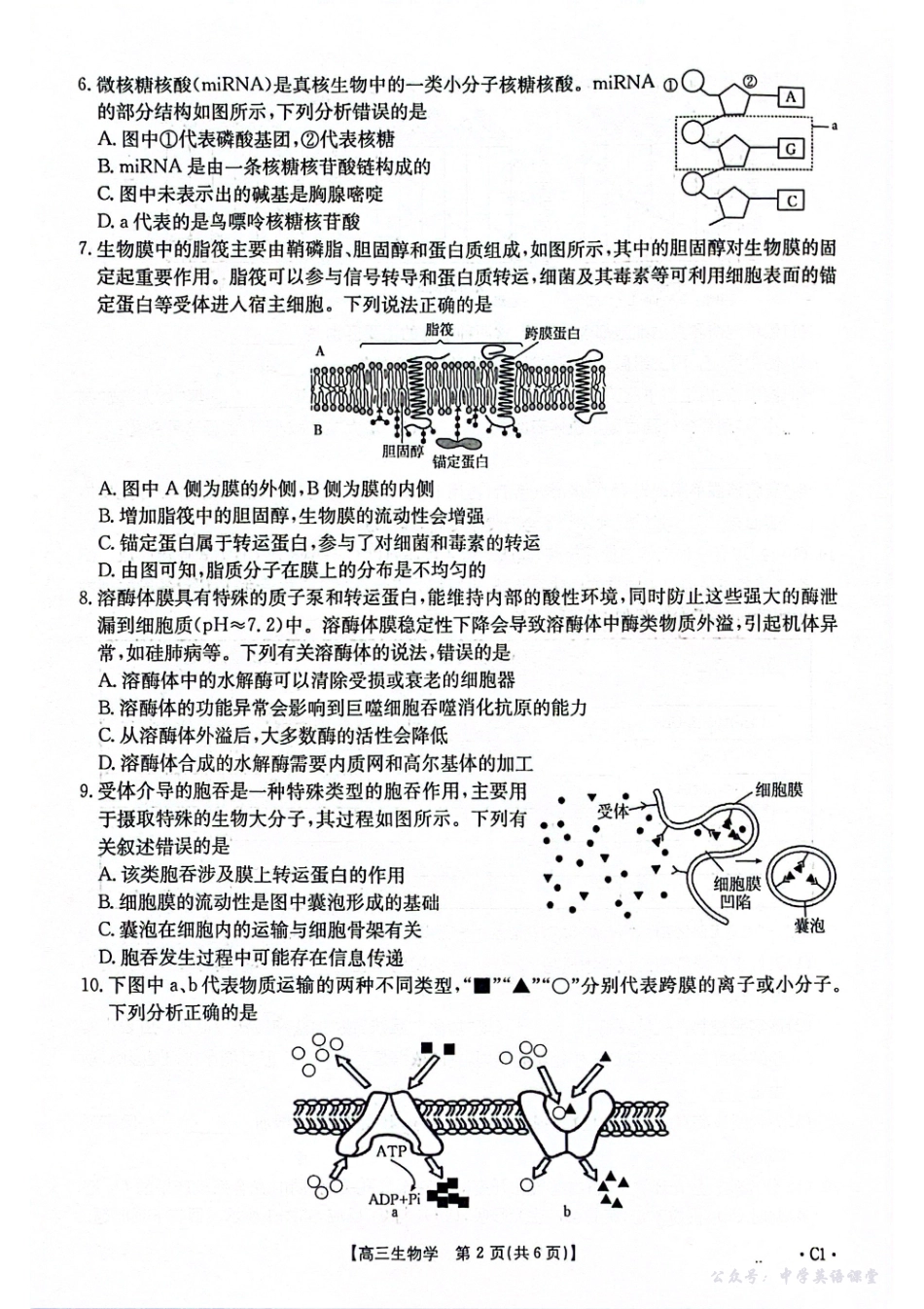 2025-2026年度上学期河南省高三年级第二次联考（26-37C）生物.pdf_第2页