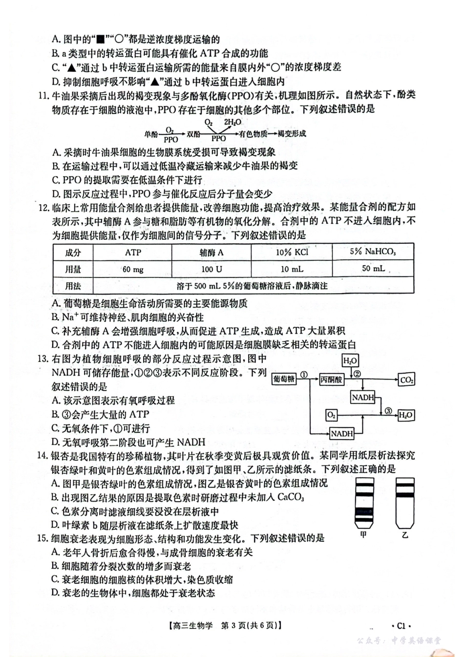 2025-2026年度上学期河南省高三年级第二次联考（26-37C）生物.pdf_第3页