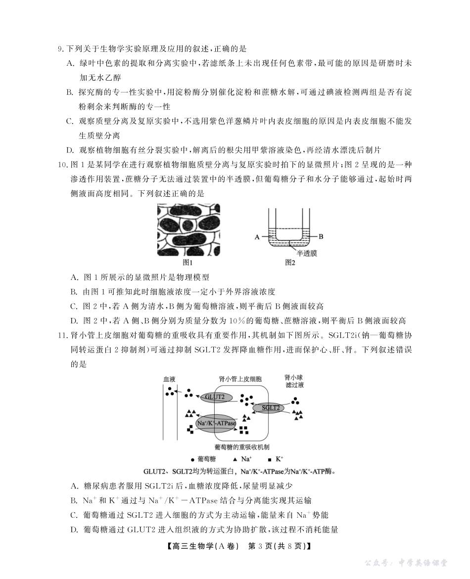 2025-2026学年鼎尖名校大联考生物(A).pdf_第3页