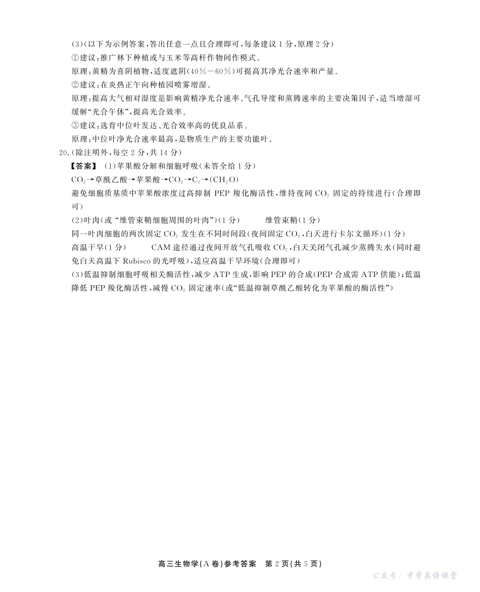 2025-2026学年鼎尖名校大联考生物(A)答案.pdf_第2页