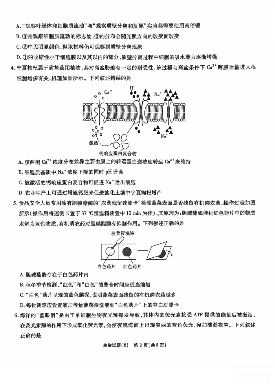 2025江淮十校模拟预测生物试题.pdf_第2页