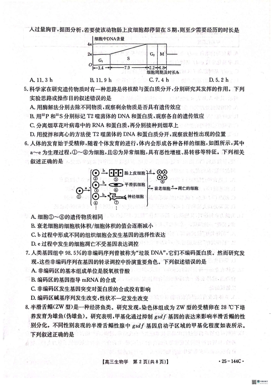 2025届河北邢台质检联盟高三11月期中考试(25-144C)生物.pdf_第2页