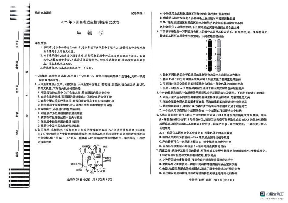 2025届山西省晋中市天一大联考高三下学期3月高考适应性训练(二模)生物.pdf_第1页