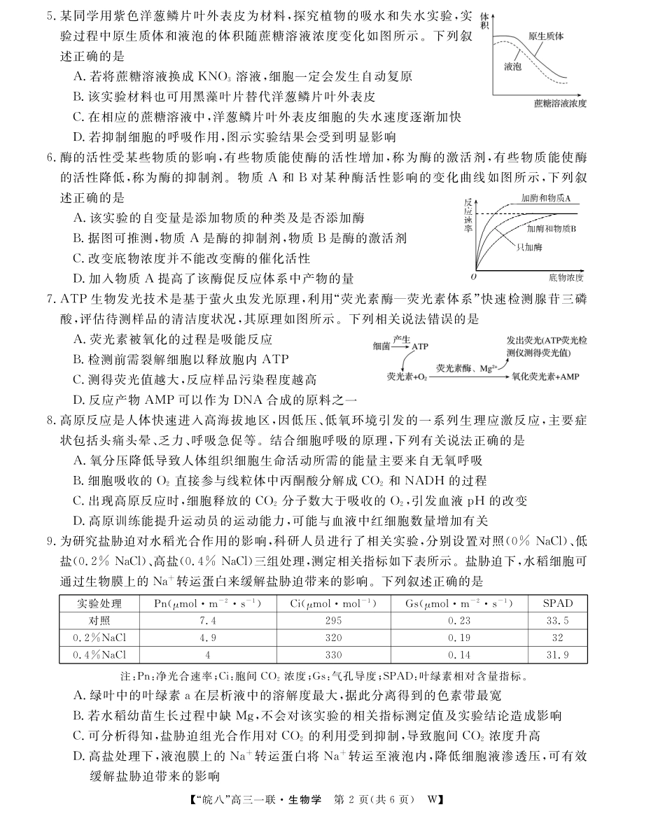 2026届“皖南八校”高三第一次大联考生物.pdf_第2页