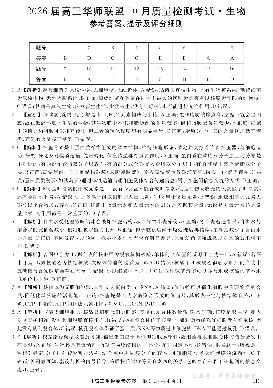 2026届高三华师联盟10月质量检测考试生物答案.pdf_第1页