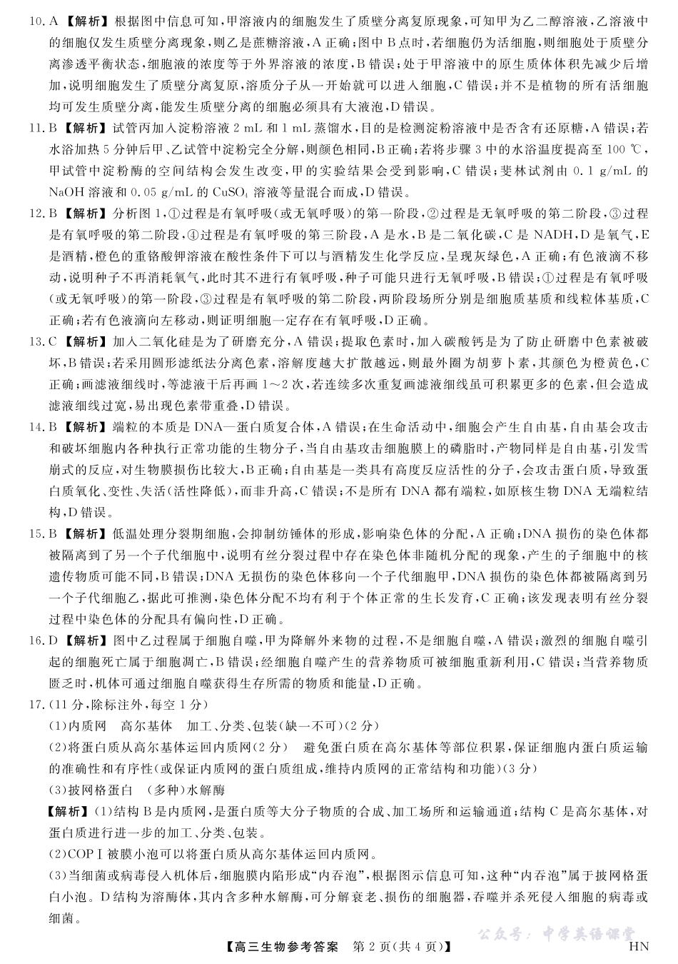 2026届高三华师联盟10月质量检测考试生物答案.pdf_第2页