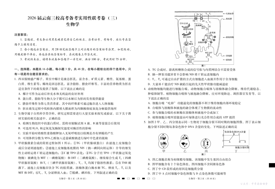 2026届云南三校高考备考实用性联考卷(三)生物.pdf_第1页