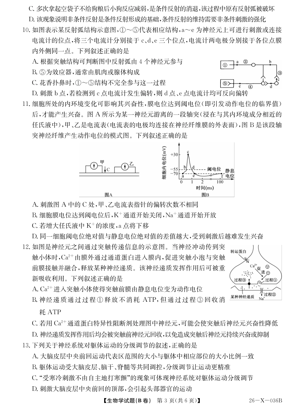 2027届高二年级TOP二十名校十月调研考试（B卷）（26-X-036B）生物.pdf_第3页