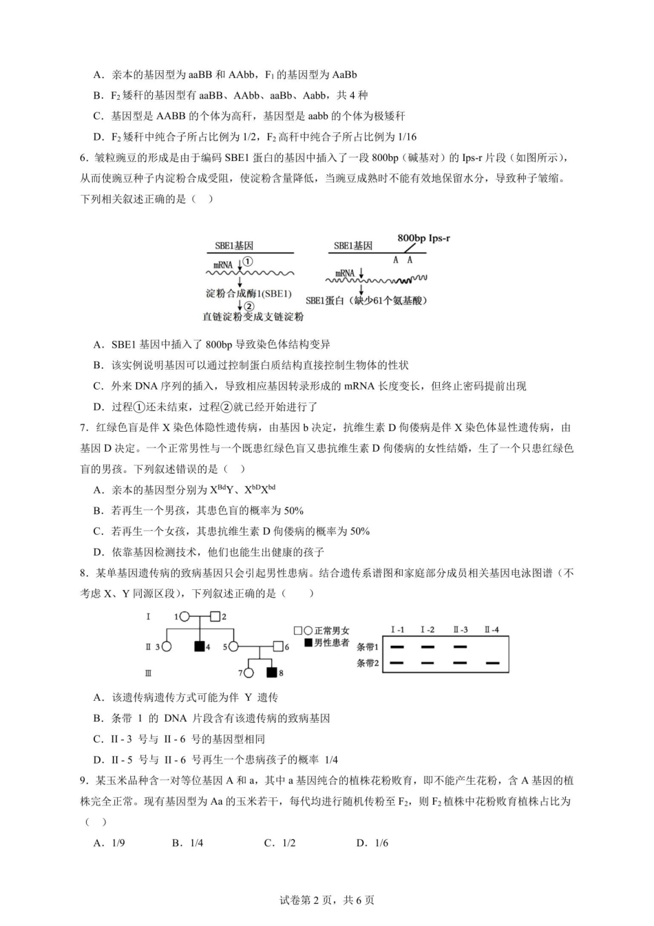 2027届高二上学期9月月考生物试卷.pdf_第2页