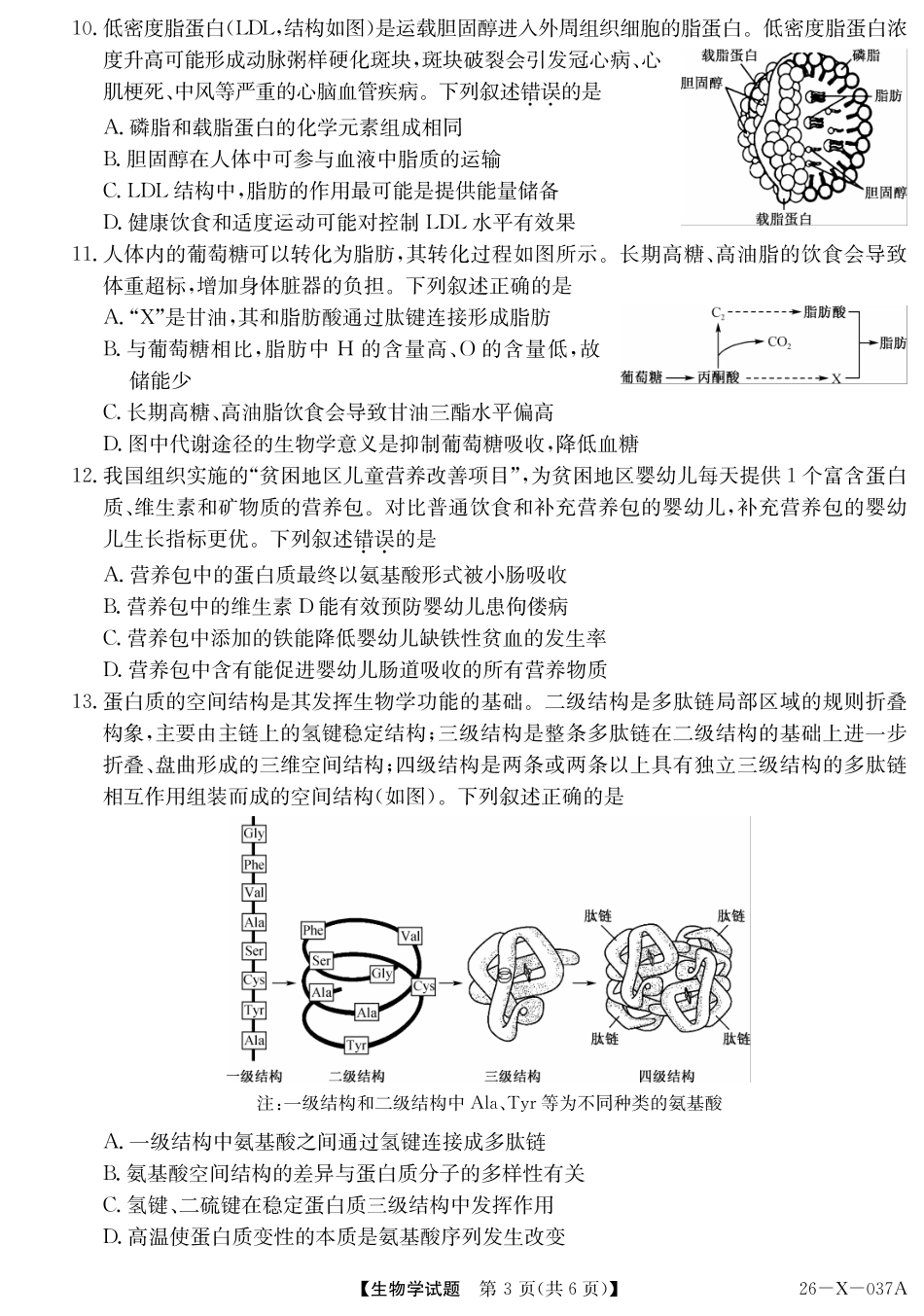 2028届高一年级TOP二十名校十月调研考试()生物.pdf_第3页
