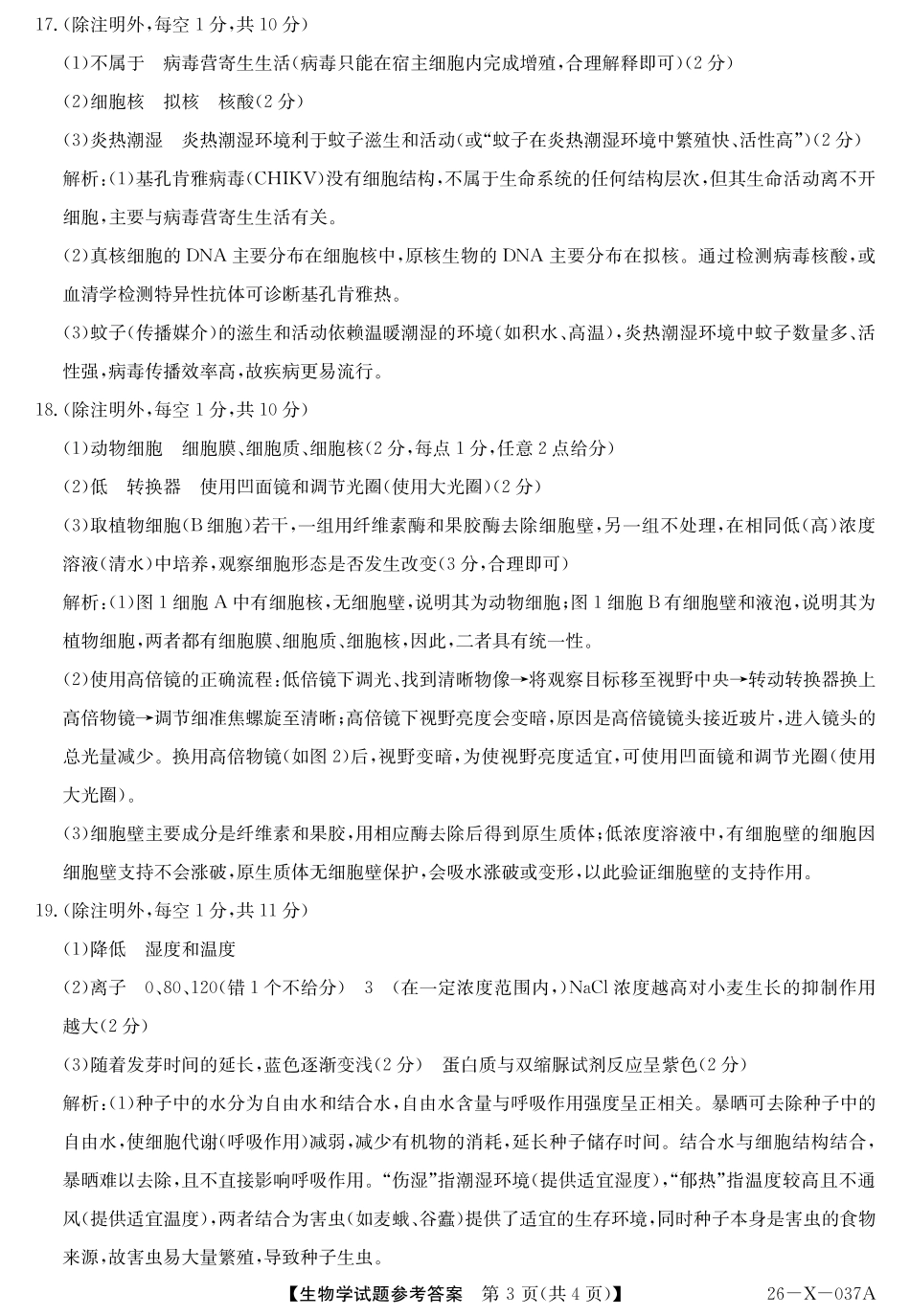 2028届高一年级TOP二十名校十月调研考试()生物答案.pdf_第3页