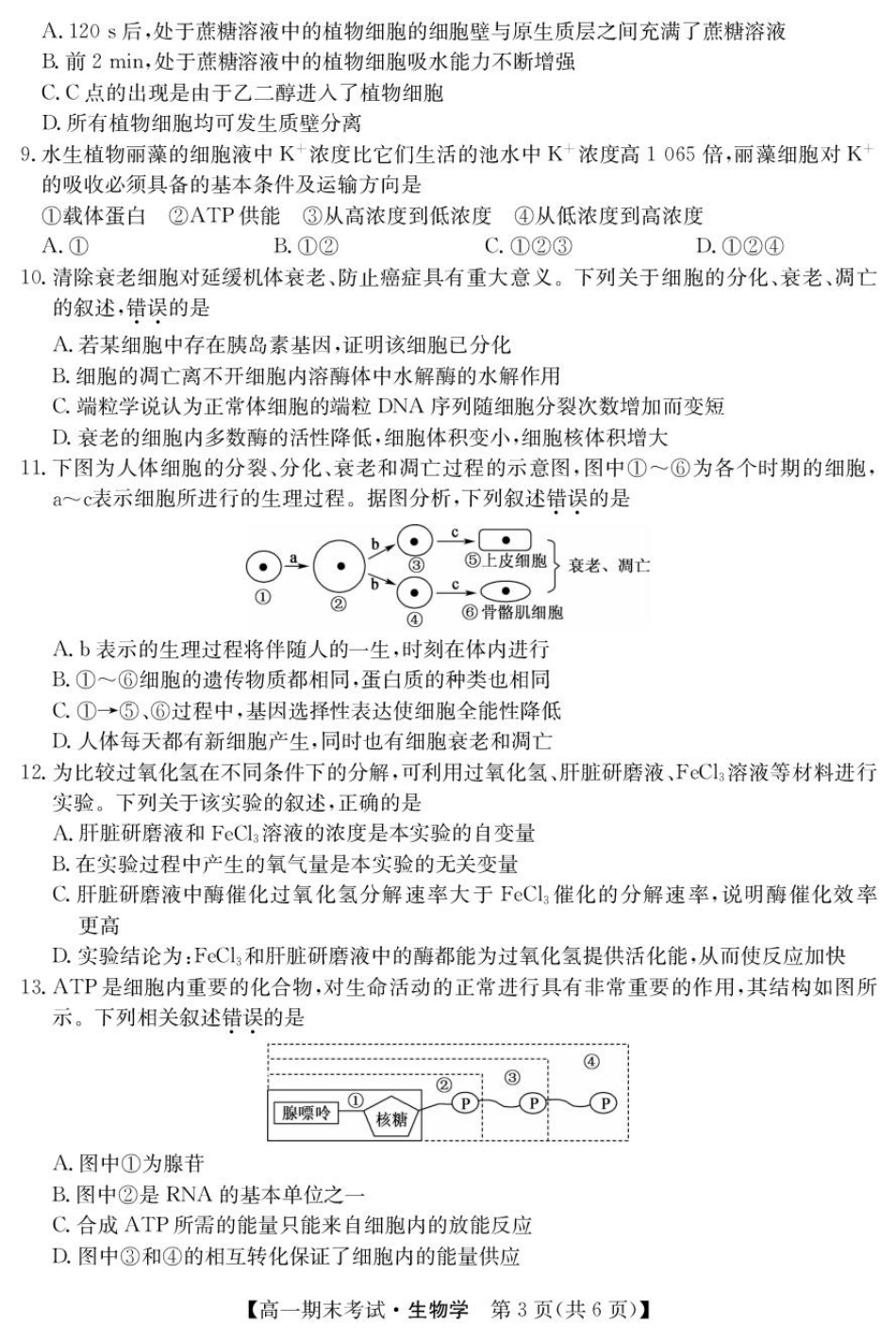 25042A2024-2025学年高一上学期1月期末考试生物试题.pdf_第3页