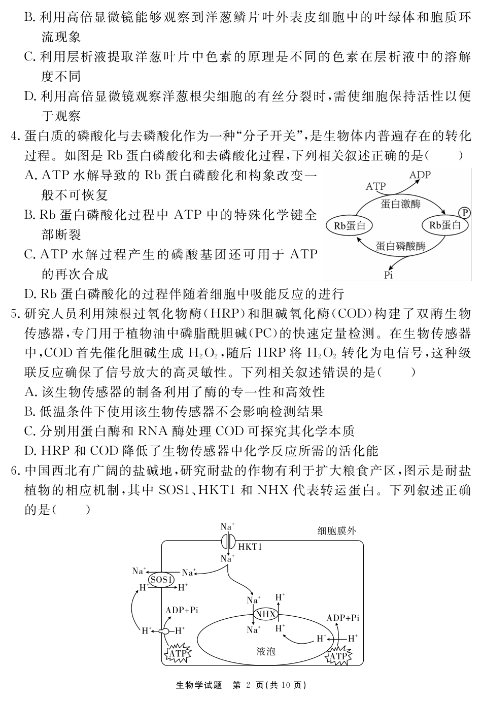 安徽省2025-2026学年度“耀正优”高三年级10月阶段检测生物.pdf_第2页