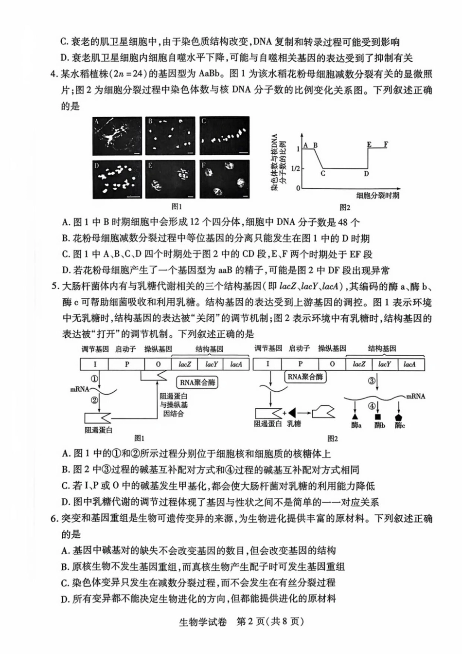 安徽省滁州市2024-2025学年高二下学期期末教学质量监测生物试题(含答案).pdf_第2页