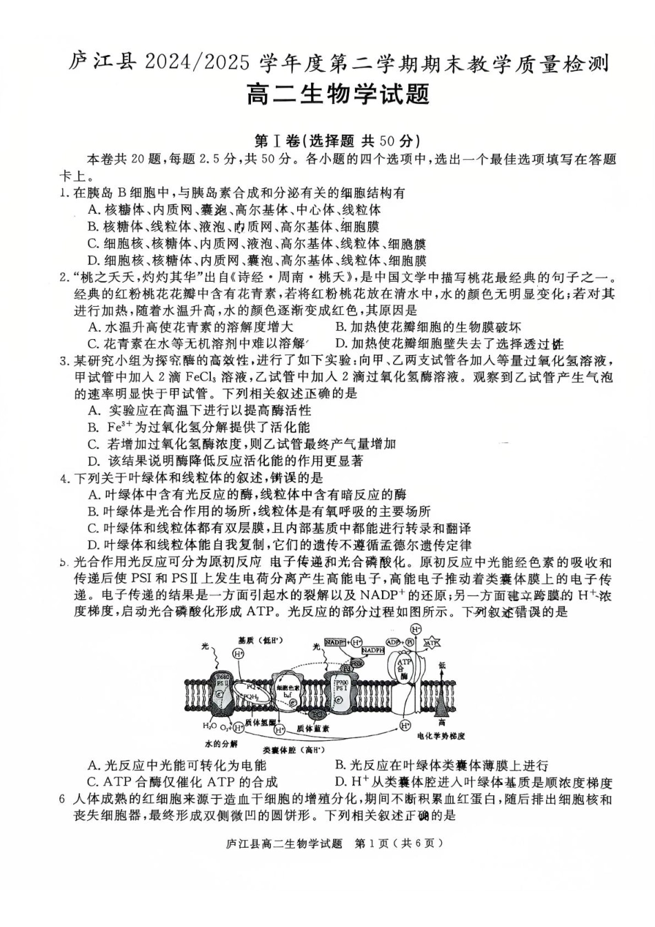 安徽省合肥市庐江县2024-2025学年高二下学期7月期末生物试题.pdf_第1页