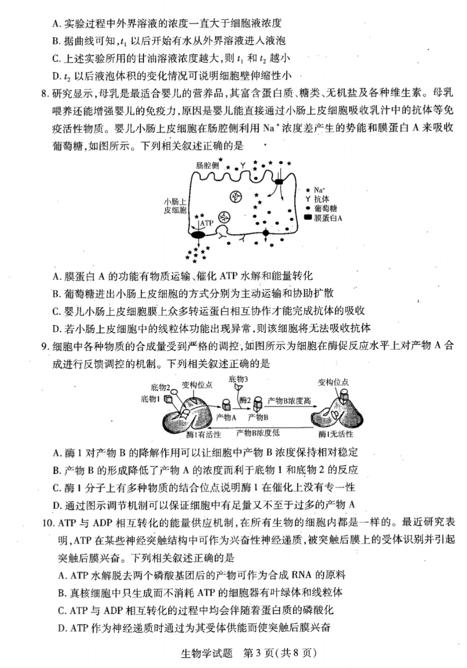 安徽省天一大联考皖豫名校联盟2024-2025学年2025届高三10月联考（10.11-10.12）生物试卷.pdf_第3页