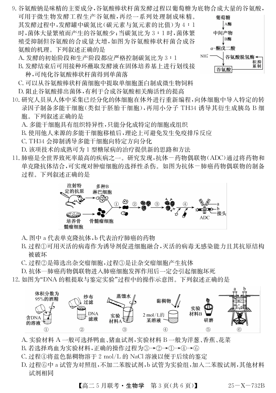安徽省县中联盟2024-2025学年高二下学期5月联考生物.pdf_第3页