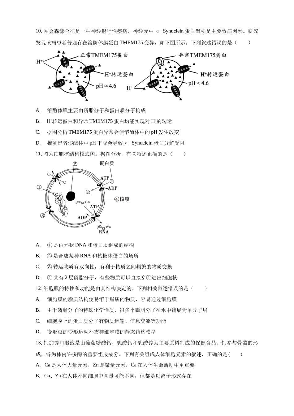 白城一中2025-2026学年度高一上学期第一次月考生物试卷.docx_第3页