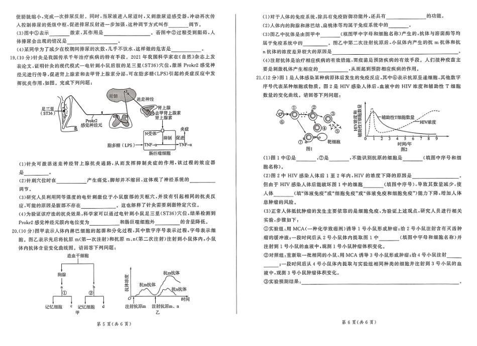 百师联盟2024-2025学年高二上学期11月期中考试生物.pdf_第3页