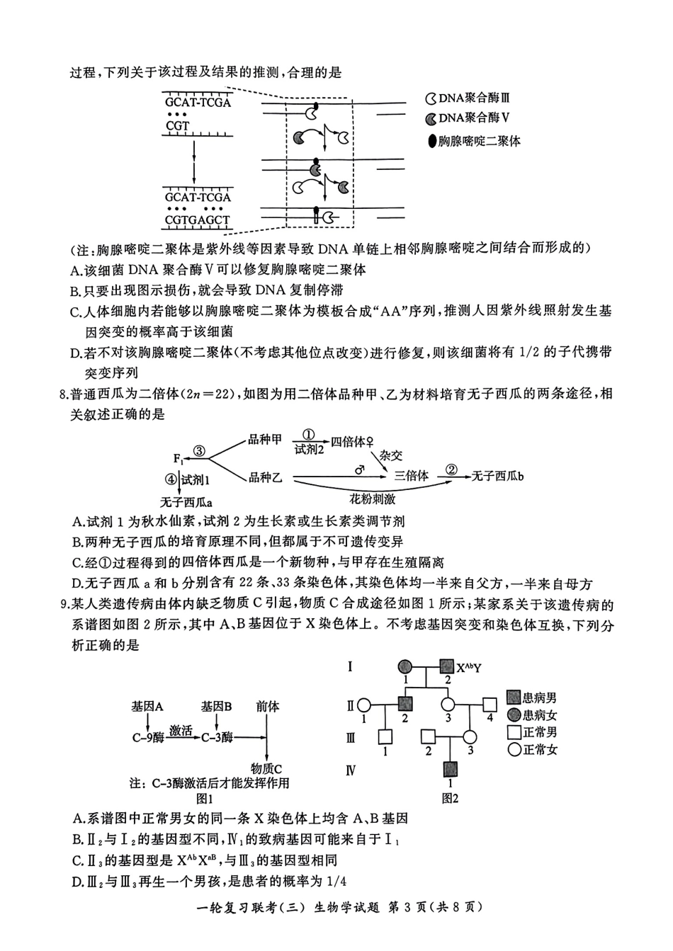 百师联盟2025届高三一轮复习联考（三）生物.pdf_第3页