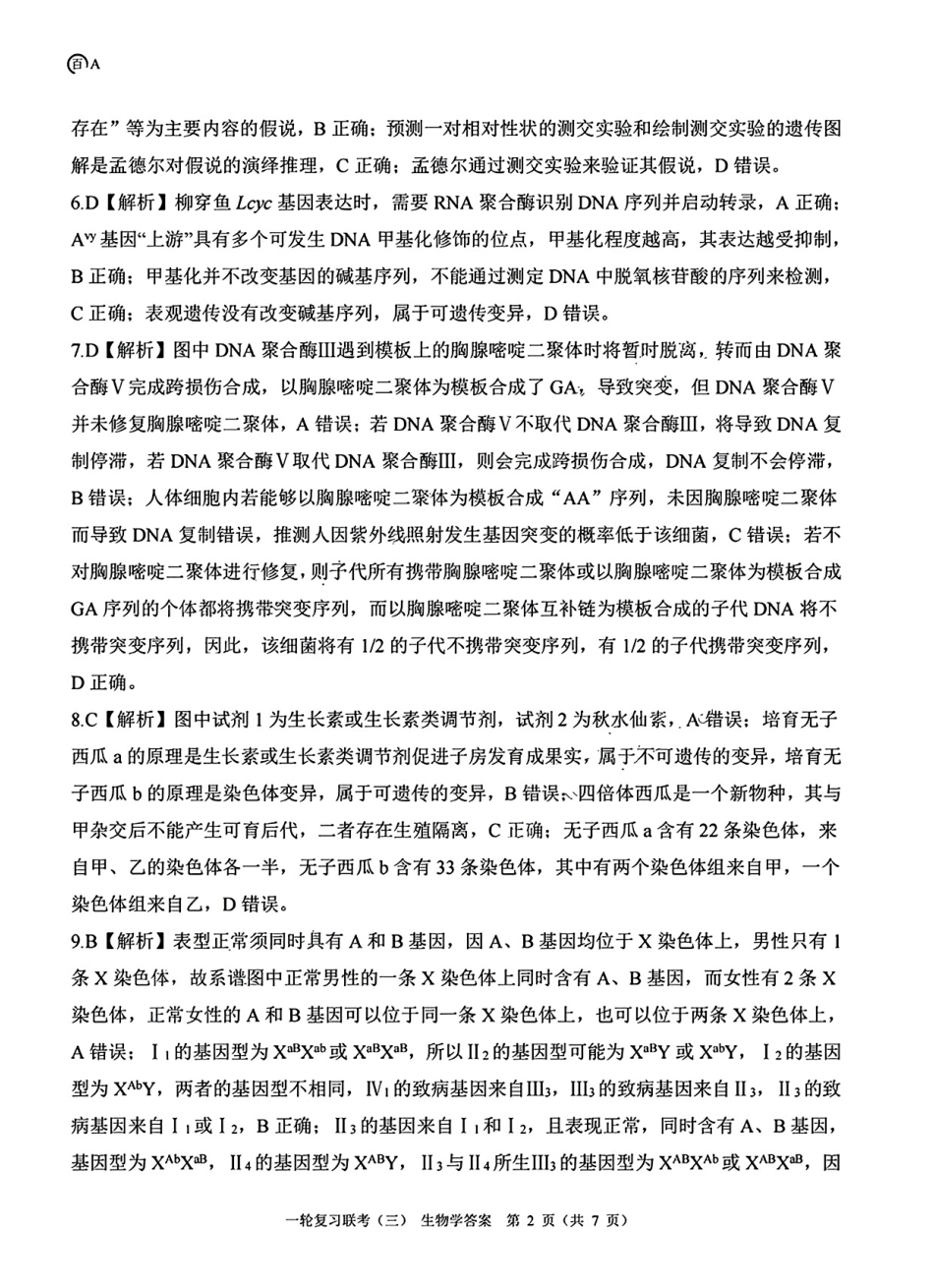 百师联盟2025届高三一轮复习联考(三)生物答案.pdf_第2页